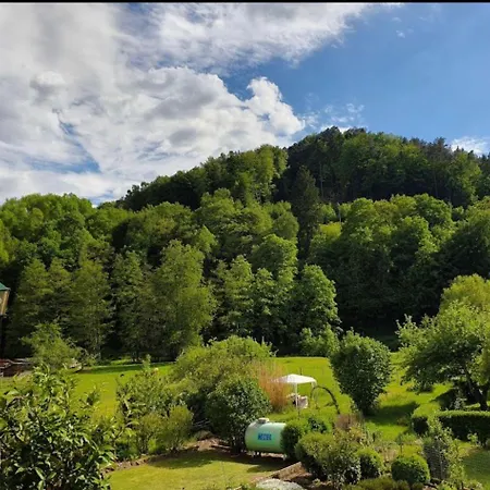 Landhotel Zur Wegelnburg Hotel