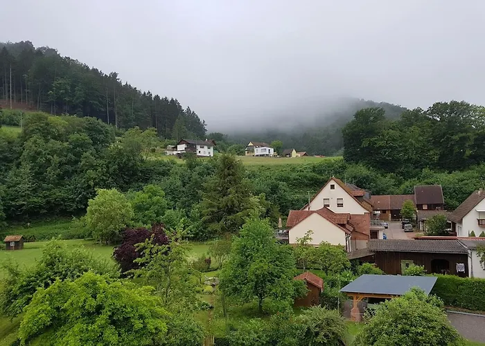 Landhotel Zur Wegelnburg מלון